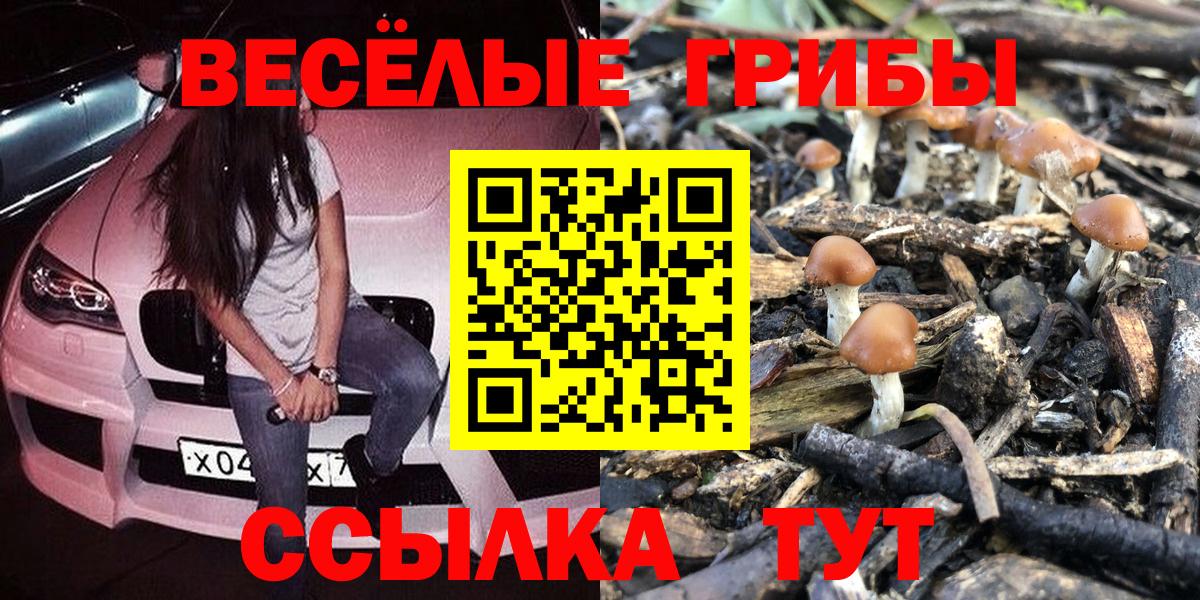 что такое   Галлюциногенные грибы Psilocybe  Вход с VPN  Тавда 