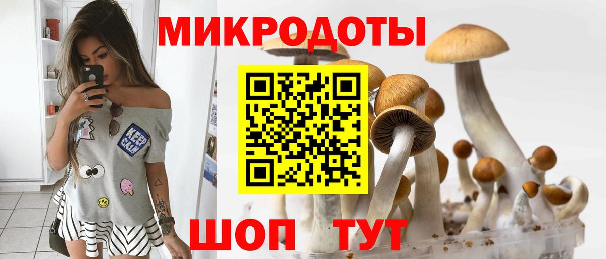 Галлюциногенные грибы Psilocybine cubensis Тавда